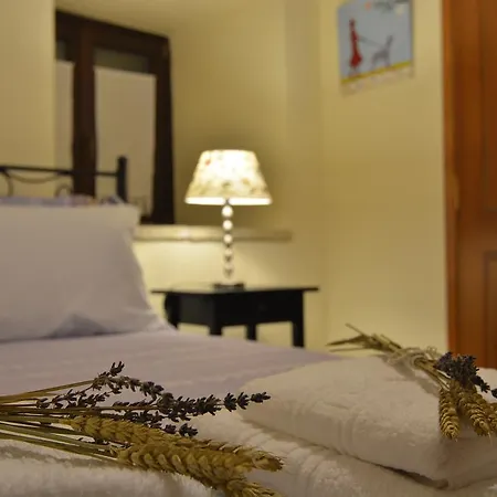 Guest house Gartagani