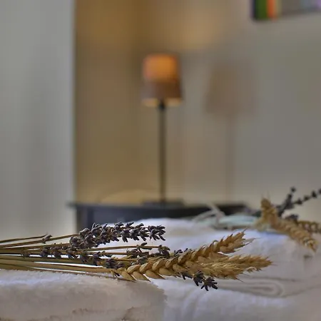 Gartagani Guest house